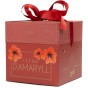 Deluxe Amaryllis Red (1 bulb) - Gift Box by Jamieson Brothers 