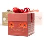 Amaryllis Red (1 bulb) - Gift Box by Jamieson Brothers 