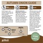 Snowball Winter Onion Sets (250gm) by Jamieson Brothers® - Bulb Size 14/21