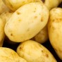 Arran Pilot Seed Potatoes - 2KG