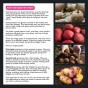 SpudMan Melody 2kg (Approx. 20-25) Seed Potatoes, Ideal for Baked Potatoes, Grows Approx. 200 Baking Potatoes
