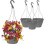 Hanging Baskets 3 Growing Basket Kit by Jamieson Brothers