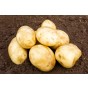 Pentland Dell Seed Potatoes