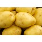 Baby Lou Seed Potatoes