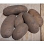 Belle De Fontenay Seed Potatoes