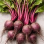 Jamieson Brothers Grow Your Own Starter Garden Bundle 5 Pack Easy Vegetable Seed Collection (Lettuce Mesclun Mix, Spring Onion White Lisbon, Pea Kelvedon Wonder, Radish French Breakfast, Beetroot Boltardy)