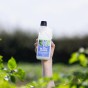 JBA Blight Guard for the prevention of foliar blight in tomatoes and potatoes -  500ml concentrate 