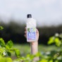 Double Strength Blight Guard for the prevention of foliar blight in tomatoes and potatoes -  500ml concentrate 