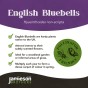 English Bluebells (60 bulbs) - by Jamieson Brothers® 