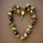 Deluxe Amaryllis White (1 bulb) - Gift Box by Jamieson Brothers 