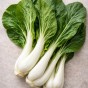 Super Greens & Leafy Harvest Bundle 5 Pack Vegetable Seed Collection (Lettuce Mesclun Mix, Swiss Chard Rainbow Mix, Lettuce Parris Island Cos, Pak Choi White Stem, Kale Black Tuscan)
