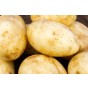 Caledonian Pearl Seed Potatoes