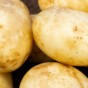 Caledonian Pearl Seed Potatoes - 10 tuber pack by Jamieson Brothers