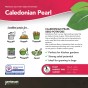 Caledonian Pearl Seed Potatoes