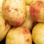 Cara Seed Potatoes - 2KG