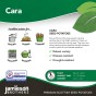 Cara Seed Potatoes - 2KG