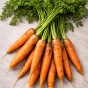 The Fast Harvest Kitchen Garden Bundle 6 Pack (Lettuce Mesclun Mix, Carrot Maestro, Lettuce Parris Island Cos, Spring Onion White Lisbon, Radish French Breakfast, Beetroot Boltardy)