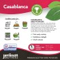 Casablanca Seed Potatoes