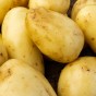 Charlotte 2kg Summer Planting Seed Potatoes (Approx. 22 tubers) By Jamieson Brothers