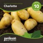 Jamieson Brothers® Charlotte - 10 tuber pack