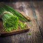 Chives Herb Seeds (Approx. 135 seeds) by Jamieson Brothers®