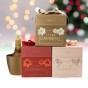 Deluxe Amaryllis White (1 bulb) - Gift Box by Jamieson Brothers 
