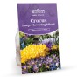 Bee & Butterfly Spring Mix to Attract Pollinators (Approx. 265 Bulbs) by Jamieson Brothers