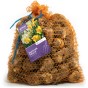 Jamieson Brothers 10kg Daffodils - Yellow Trumpet Daffodils 5kg and Mixed Daffodils 5kg