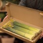 50 Freshly Cut Mixed Orange & Yellow Daffodils - Ready to Bloom | Perfect for Home Décor, Indoor Displays & Easter Gifts UK