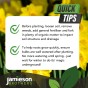 Yellow Trumpet Daffodil Bulbs by Jamieson Brothers® 