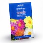 Jamieson Brothers® Dahlia Unwins Dwarf Mixed Flower Seeds (Approx. 55 seeds)