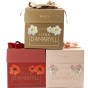 Garden with Jonny's 3 Amaryllis Gift Box Bundle; Red, White & Pink Bulbs with Pots & Compost