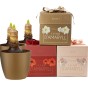 Garden with Jonny's 3 Amaryllis Gift Box Bundle; Red, White & Pink Bulbs with Pots & Compost