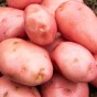 Desiree Seed Potatoes - 2KG