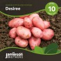 Jamieson Brothers® Desiree - 10 tuber pack
