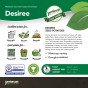 Jamieson Brothers® Desiree - 10 tuber pack