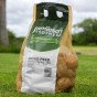 Maris Peer 2Kg Summer Planting Seed Potatoes (Approx. 22 tubers)  by Jamieson Brothers