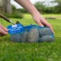 Charlotte 2kg Summer Planting Seed Potatoes (Approx. 22 tubers) By Jamieson Brothers