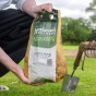 Maris Peer 2Kg Summer Planting Seed Potatoes (Approx. 22 tubers)  by Jamieson Brothers