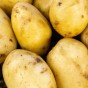 Dunluce Seed Potatoes