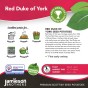 Red Duke of York Seed Potatoes - 20kg