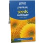 Sunflower Teddy Bear – 60 Double Bloom Dwarf Sunflower Seeds
