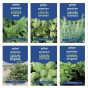 Kitchen Herb Collection 1 Each Of Oregano Coriander Sweet Basil Mint Rosemary Thyme by Jamieson Brothers®