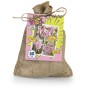 The Pink Bag (50 Bulbs) Tulipa Mystic van Eijk, Hyacinthus Fondant & Allium Ostrowskianum, Ready for Planting Now in UK Autumn Outdoor Gardens