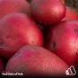 6kg Seed Potato Bundle (Red Duke of York, Maris Peer & Maris Piper) Easy to Grow & High Yielding Varieties Perfect for All Uses