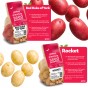 Seed Potato Bundle – 6 Varieties, 12kg Total (Red Duke of York, Rocket, Charlotte, Wilja, Desiree & Maris Piper) – First Early, Second Early & Maincrop Potatoes for a Full Season Harvest
