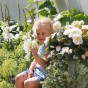 Begonia Double White (3 Bulbs)