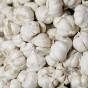 Garlic White (Allium Sativum) 3x Spring Planting Garlic Bulbs| Vegetable Bulb for Planting Now UK | Plant Garden Outdoor | Jamieson Brothers