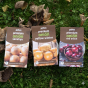 Mixed Winter Onion Sets (750g, Approx 150 Bulbs) Senshyu, Red Winter and Yellow Winter