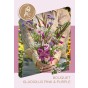 Gladioli Pink & Purple Mix (10 Bulbs) and Wildflower 'Butterfly' Mix Seeds Grow your own Bouquet by Jamieson Brothers